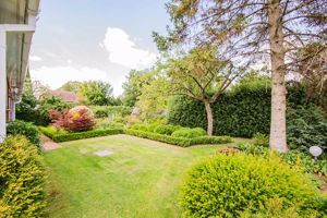 Photo 44- click for photo gallery